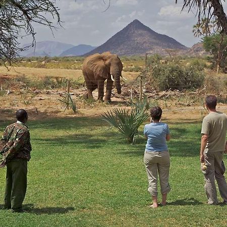 Hotel Ashnil Samburu Camp Exteriér fotografie