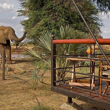 Hotel Ashnil Samburu Camp Exteriér fotografie
