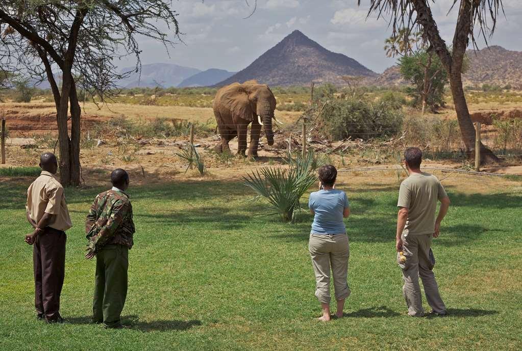 Hotel Ashnil Samburu Camp Exteriér fotografie