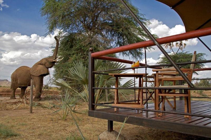 Hotel Ashnil Samburu Camp Exteriér fotografie