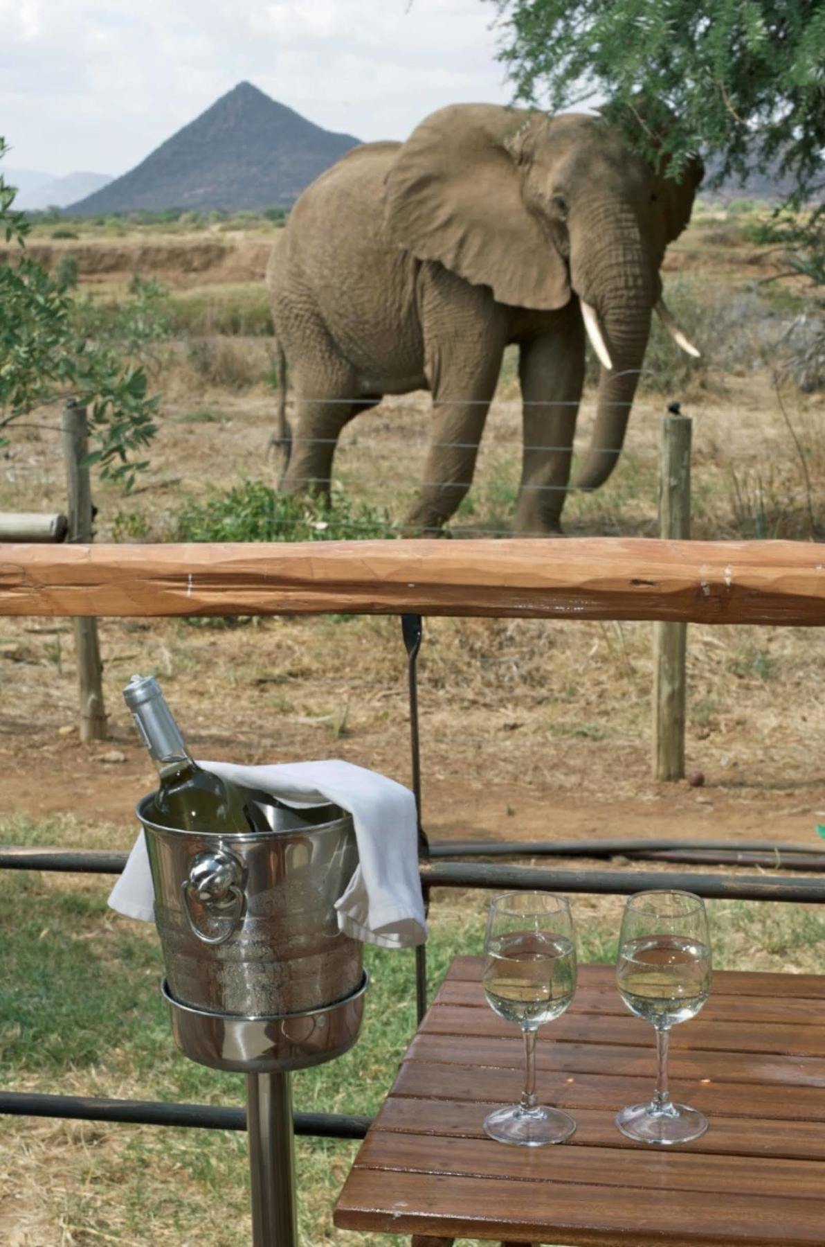 Hotel Ashnil Samburu Camp Exteriér fotografie
