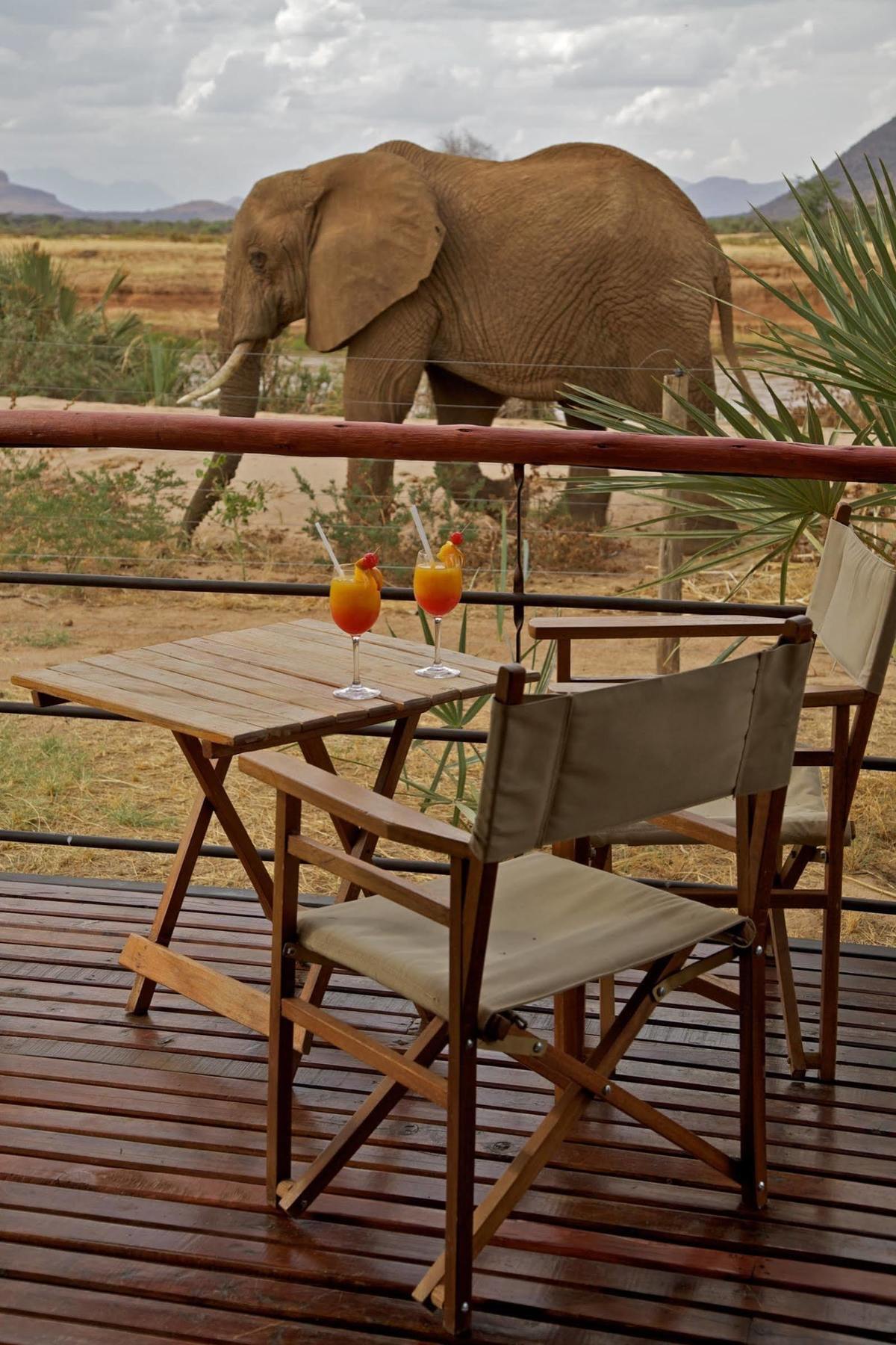 Hotel Ashnil Samburu Camp Exteriér fotografie