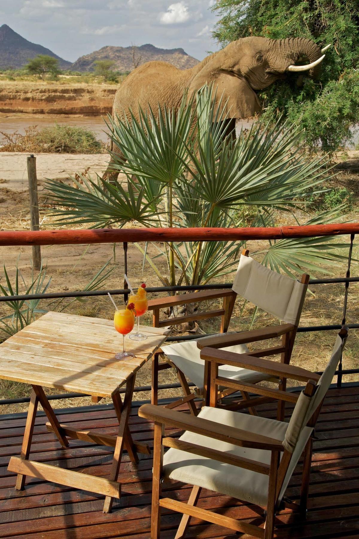 Hotel Ashnil Samburu Camp Exteriér fotografie
