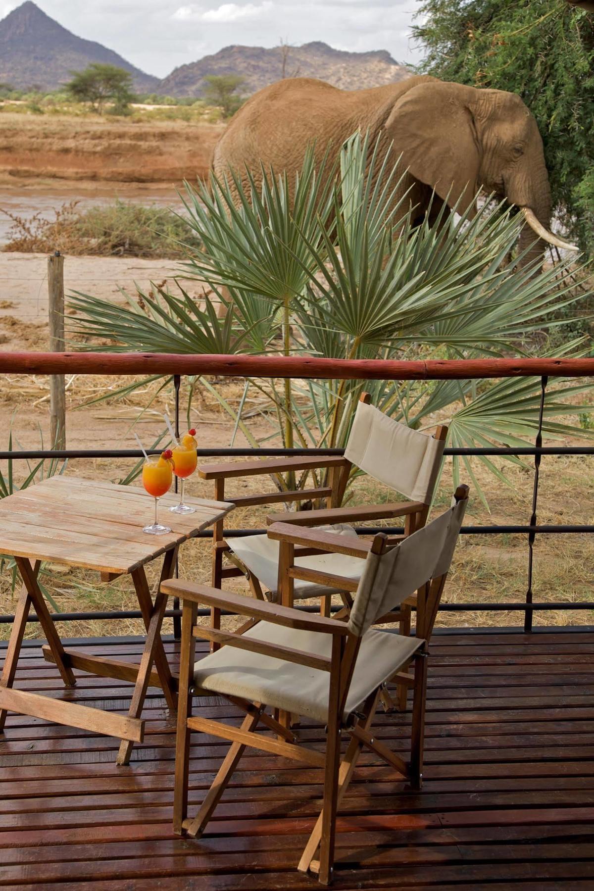 Hotel Ashnil Samburu Camp Exteriér fotografie
